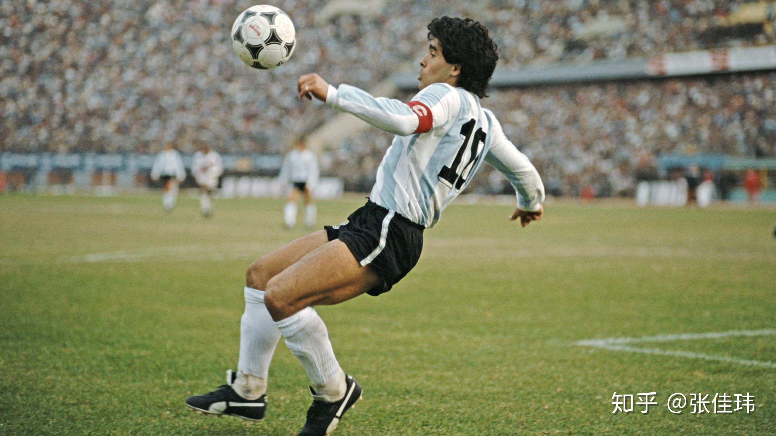 TP电游天竺王朝导航 快速发展